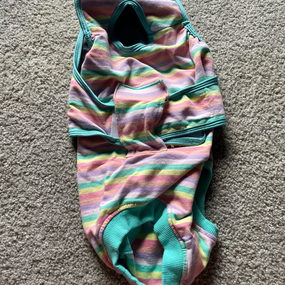Dog recovery suit for surgery.